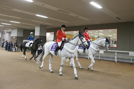 パーティースタイル 東京競馬場の婚活パーティー お見合いパーティーの会場一覧